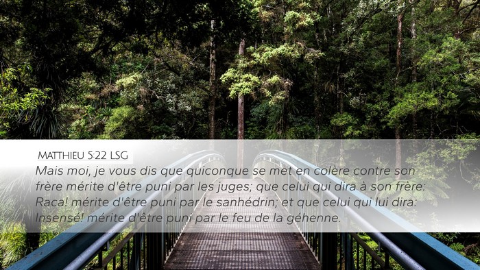 Matthieu 5:22 LSG Bible Verse Image