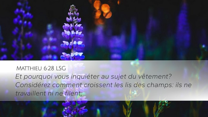 Matthieu 6:28 LSG Bible Verse Image