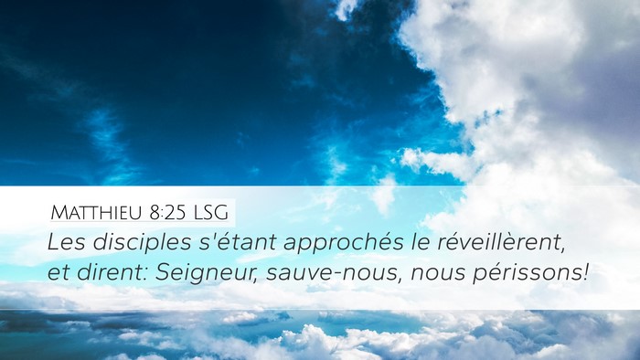 Matthieu 8:25 LSG Desktop Wallpaper - Les disciples s'étant approchés le - Desktop Bible Verse Wallpaper