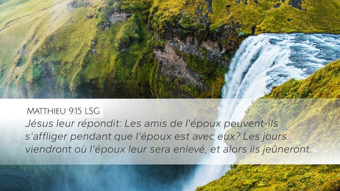 Matthieu 9:15 LSG Bible Verse Image