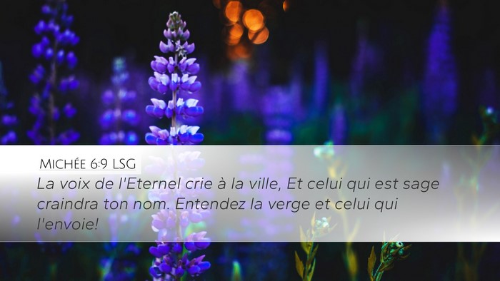 Michée 6:9 LSG Bible Verse Image