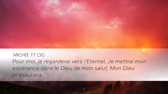 Michée 7:7 LSG Bible Verse Image