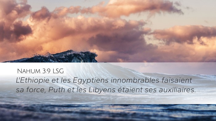 Nahum 3:9 LSG Bible Verse Image