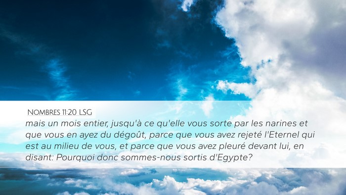 Nombres 11:20 LSG Bible Verse Image