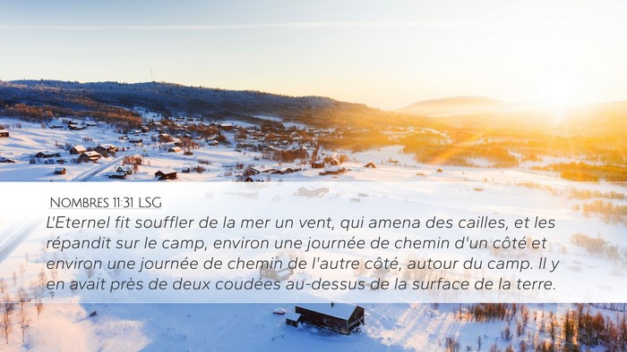 Nombres 11:31 LSG Desktop Wallpaper - L'Eternel fit souffler de la mer un vent, qui - Desktop Bible Verse Wallpaper