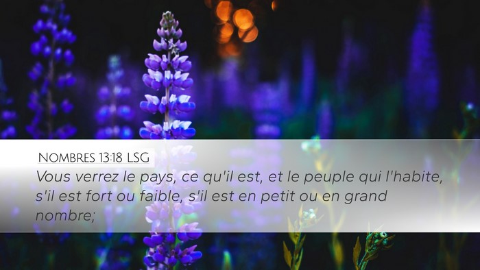 Nombres 13:18 LSG Desktop Wallpaper - Vous verrez le pays, ce qu'il est, et le peuple - Desktop Bible Verse Wallpaper