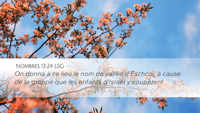 Nombres 13:24 LSG Desktop Wallpaper - On donna à ce lieu le nom de vallée d'Eschcol, - Desktop Bible Verse Wallpaper
