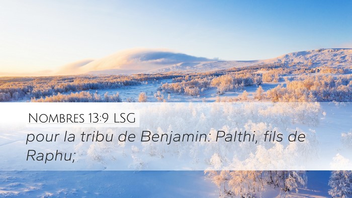 Nombres 13:9 LSG Desktop Wallpaper - pour la tribu de Benjamin: Palthi, fils de - Desktop Bible Verse Wallpaper