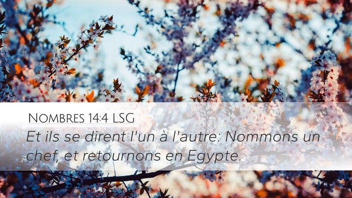 Nombres 14:4 LSG Bible Verse Image
