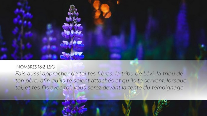 Nombres 18:2 LSG Bible Verse Image
