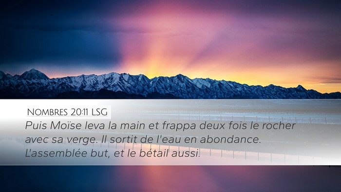 Nombres 20:11 LSG Bible Verse Image