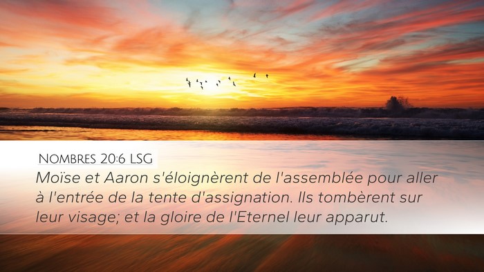Nombres 20:6 LSG Bible Verse Image