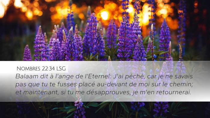 Nombres 22:34 LSG Desktop Wallpaper - Balaam dit à l'ange de l'Eternel: J'ai péché, - Desktop Bible Verse Wallpaper