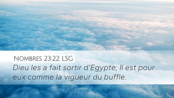Nombres 23:22 LSG Bible Verse Image