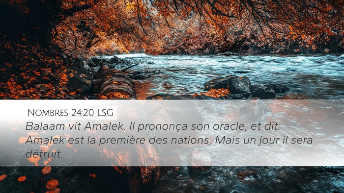 Nombres 24:20 LSG Bible Verse Image