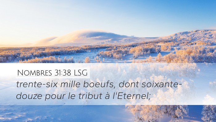 Nombres 31:38 LSG Desktop Wallpaper - trente-six mille boeufs, dont soixante-douze pour - Desktop Bible Verse Wallpaper