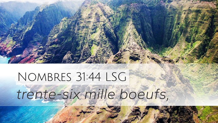Nombres 31:44 LSG Desktop Wallpaper - trente-six mille - Desktop Bible Verse Wallpaper