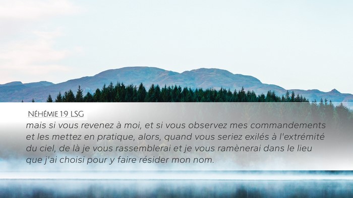 Néhémie 1:9 LSG Bible Verse Image