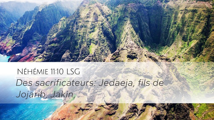 Néhémie 11:10 LSG Desktop Wallpaper - Des sacrificateurs: Jedaeja, fils de Jojarib, - Desktop Bible Verse Wallpaper