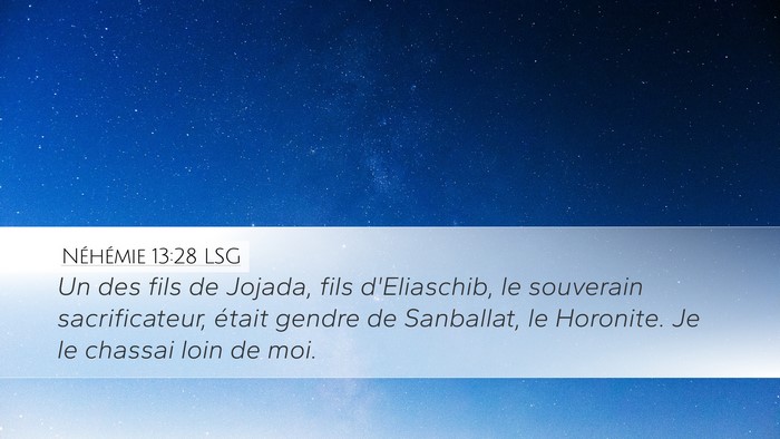 Néhémie 13:28 LSG Bible Verse Image