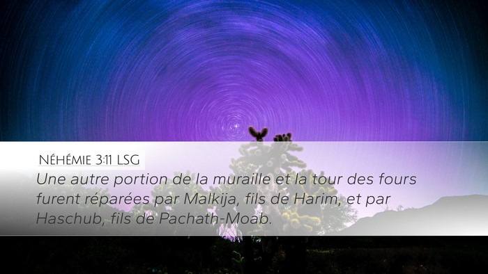Néhémie 3:11 LSG Bible Verse Image