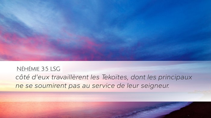 Néhémie 3:5 LSG Desktop Wallpaper - côté d'eux travaillèrent les Tekoïtes, dont - Desktop Bible Verse Wallpaper