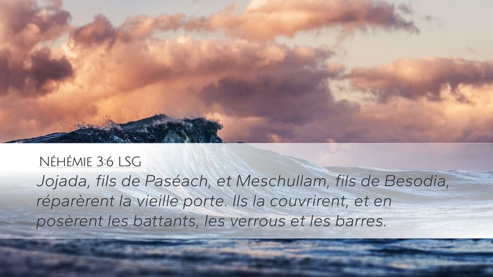 Néhémie 3:6 LSG Bible Verse Image