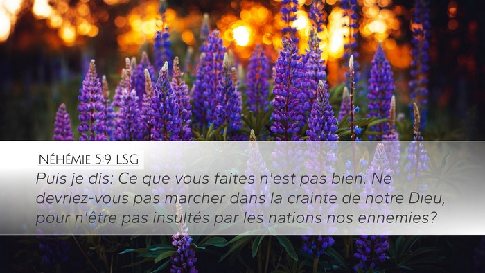 Néhémie 5:9 LSG Bible Verse Image