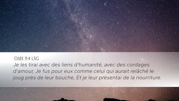 Osée 11:4 LSG Bible Verse Image