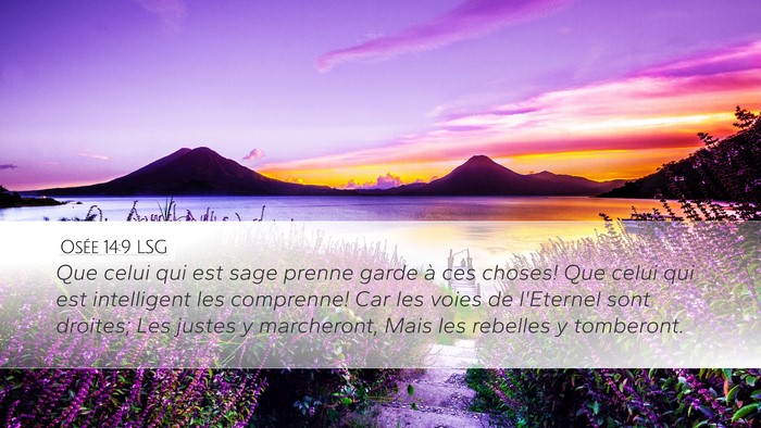 Osée 14:9 LSG Bible Verse Image