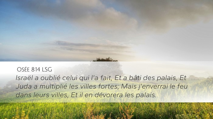 Osée 8:14 LSG Bible Verse Image