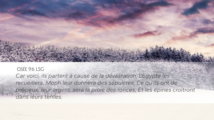 Osée 9:6 LSG Bible Verse Image