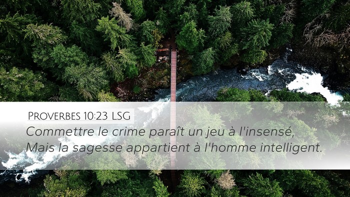 Proverbes 10:23 LSG Bible Verse Image