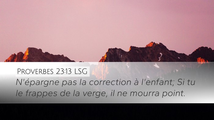 Proverbes 23:13 LSG Bible Verse Image