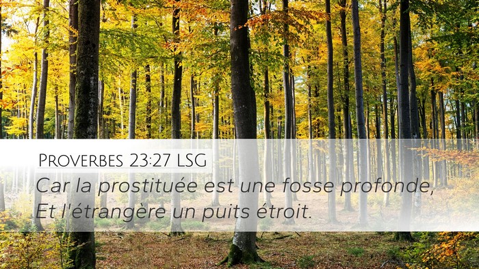 Proverbes 23:27 LSG Bible Verse Image