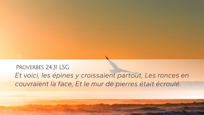 Proverbes 24:31 LSG Desktop Wallpaper - Et voici, les épines y croissaient partout, Les - Desktop Bible Verse Wallpaper