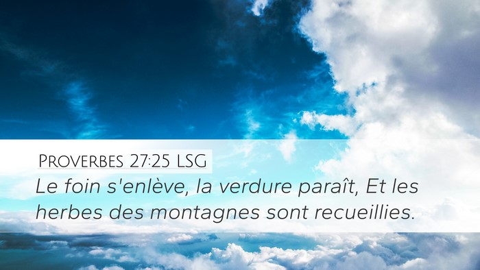 Proverbes 27:25 LSG Desktop Wallpaper - Le foin s'enlève, la verdure paraît, Et les - Desktop Bible Verse Wallpaper