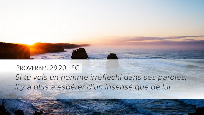 Proverbes 29:20 LSG Bible Verse Image