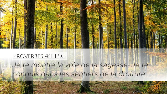 Proverbes 4:11 LSG Desktop Wallpaper - Je te montre la voie de la sagesse, Je te conduis - Desktop Bible Verse Wallpaper