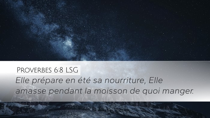 Proverbes 6:8 LSG Desktop Wallpaper - Elle prépare en été sa nourriture, Elle amasse - Desktop Bible Verse Wallpaper