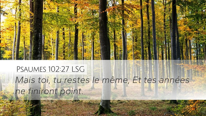 Psaumes 102:27 LSG Desktop Wallpaper - Mais toi, tu restes le même, Et tes années ne - Desktop Bible Verse Wallpaper