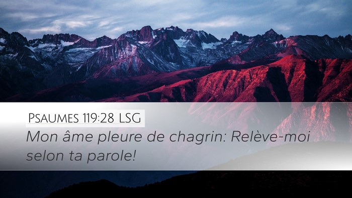 Psaumes 119:28 LSG Bible Verse Image