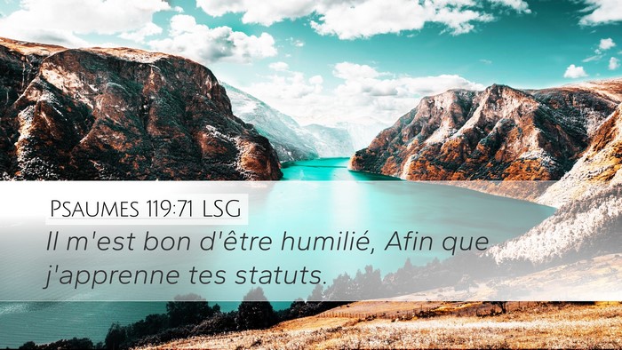 Psaumes 119:71 LSG Bible Verse Image