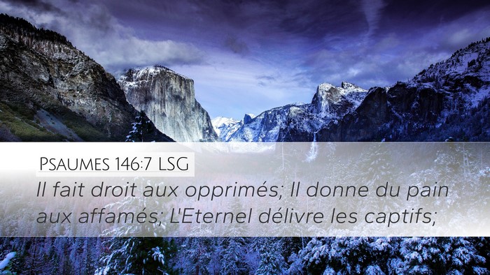 Psaumes 146:7 LSG Bible Verse Image