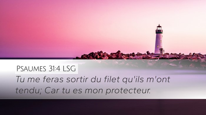 Psaumes 31:4 LSG Desktop Wallpaper - Tu me feras sortir du filet qu'ils m'ont tendu; - Desktop Bible Verse Wallpaper