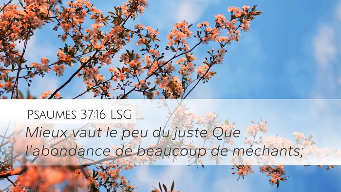 Psaumes 37:16 LSG Bible Verse Image