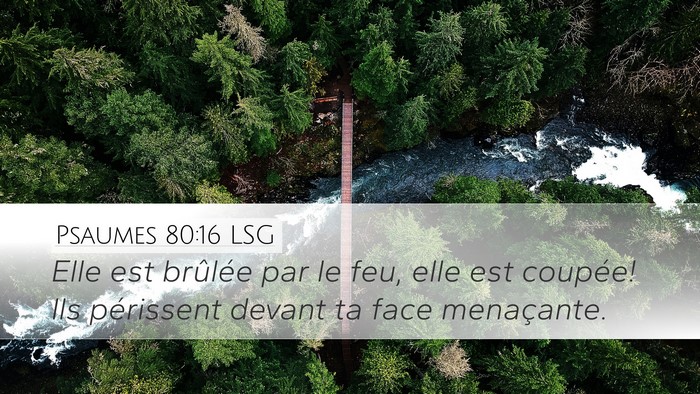 Psaumes 80:16 LSG Bible Verse Image