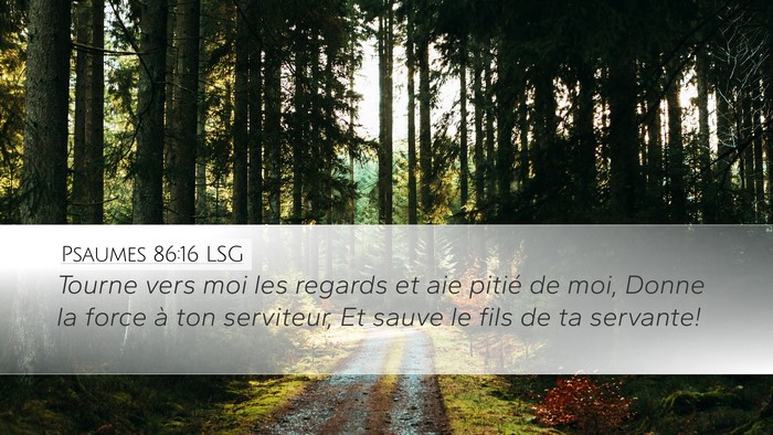 Psaumes 86:16 LSG Bible Verse Image