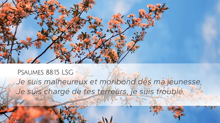 Psaumes 88:15 LSG Bible Verse Image