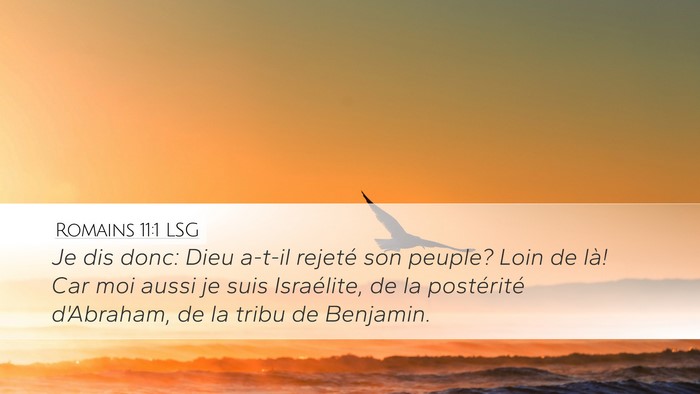 Romains 11:1 LSG Bible Verse Image